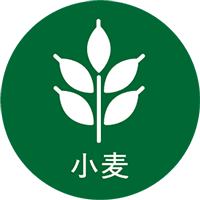 小麦粉